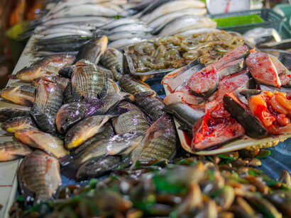 Assorted fish and shellfish on display