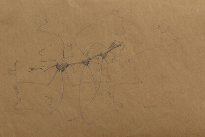 Willie Young, Untitled, 2001. Graphite on Paper. 11 ¾ x 29 ¼ inches