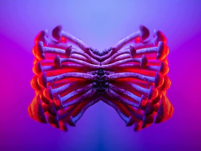 Durante el viaje, tuve una imagen dividida, al lado izquierdo, un caleidoscopio de unos triángulos y túneles, muy pequeños que se iban abriendo y saliendo, en el que pensaba en cada uno está el todo, y en el todo está cada uno