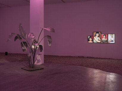 Mohamed Bourouissa, Pour noubia, ausstellungsansicht. Mit freundlicher genehmigung von Mohamed Bourouissa