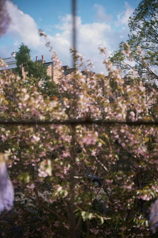 I Know How Furiously Your Heart Is Beating. Courtesy of Fraenkel Gallery