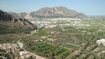 Vista aérea del Palmeral de Orihuela, Alicante, España