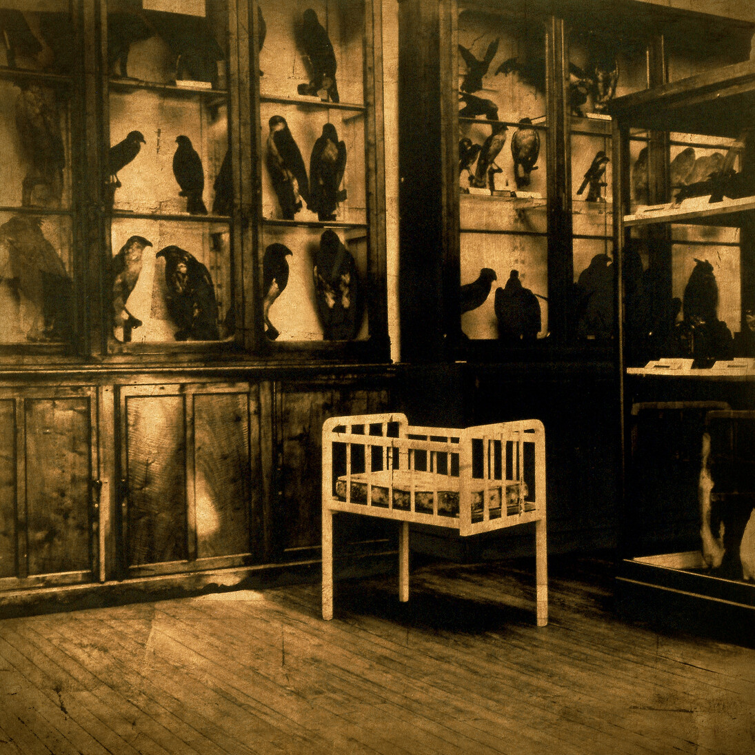 Luis González Palma. No quería hablar de esos años. Serie Jerarquías de la Intimidad (El Encuentro). 2004. Cortesía del artista