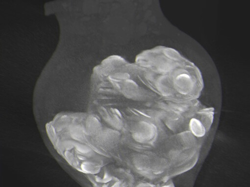 The Past Under a Microscope. Courtesy of National Museum of Slovenia