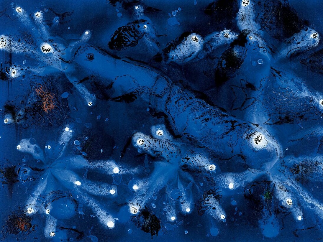 Miquel Barceló, Kraken central, 2015, Mixed media on canvas, 74 3/4 x 106 1/4 inches (190 x 270 cm), Art © 2015 Miquel Barceló / Artists Rights Society (ARS), New York / ADAGP, Paris. Courtesy of Acquavella Galleries 