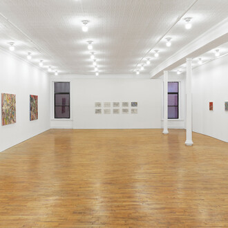 Lu Ferreira, Estranhas luzes no bosque, exhibition view. Courtesy of Tara Downs