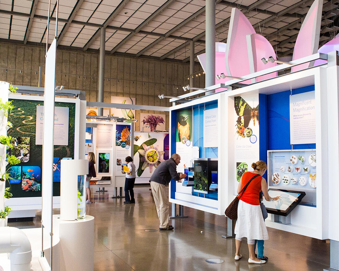 Color of Life. Courtesy of California Academy of Sciences