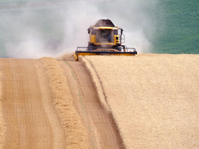 High-input, resource-intensive farming systems, which have caused massive deforestation, water scarcities, soil depletion and high levels of greenhouse gas emissions, cannot deliver sustainable food and agricultural production