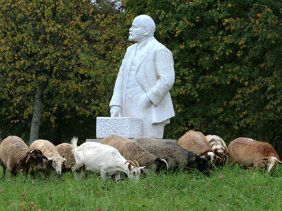 Cabras pastando ao lado da estátua de Lenin