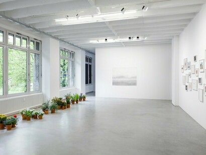 Spencer Finch, Exhibition view. Courtesy of Galerie Nordenhake