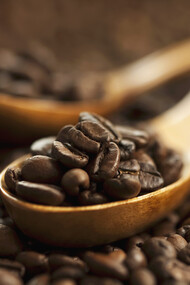 Il miglior caffè brasiliano