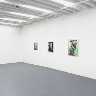 Eileen Quinlan, Line call, exhibition view. Courtesy of Miguel Abreu Gallery