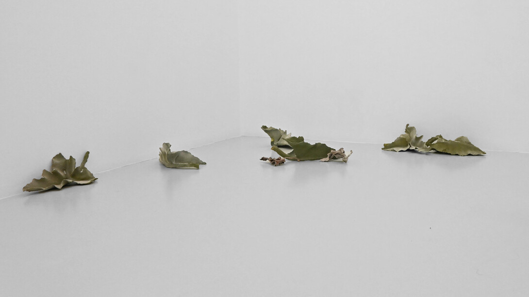 Pablo Capitán del Río, La otra selva, vista de exhibición. Cortesía de Art Nueve