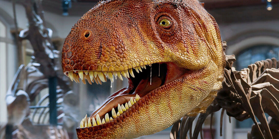 The World of Dinosaurs. Courtesy of Museum für Naturkunde