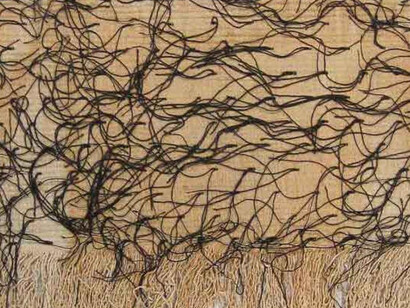 Intrepid Women. Courtesy of Pitt Rivers Museum