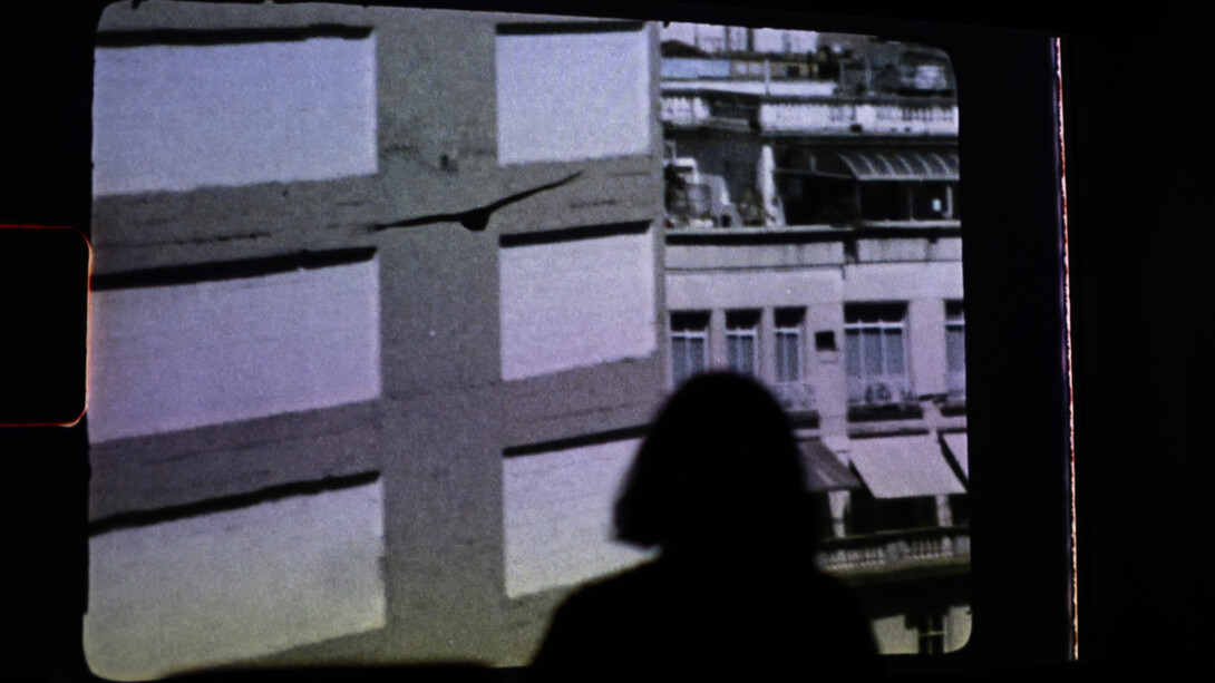 Luiz Roque, Urubu, vista della mostra. Cortesia della Pinacoteca