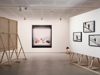 Various artists, Theatre of animals, exhibition view. Courtesy of Tel Aviv Museum of Art