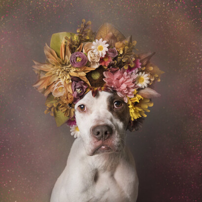 Flower Power. Courtesy of Russell Collection