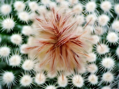  La parola differenza ci invita a esplorare l’essenza dell’unicità, perché ogni elemento possiede elementi di differenza e di uguaglianza rispetto agli altri elementi che compongono il sistema e proprio questa condizione rende unici i soggetti