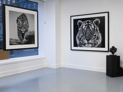 Lars Beusker and Giusy Rampini, Convergence, exhibition view. Courtesy of Miart Gallery