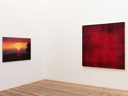 Silvia Gertsch & Xerxes Ach. Courtesy of Monica De Cardenas