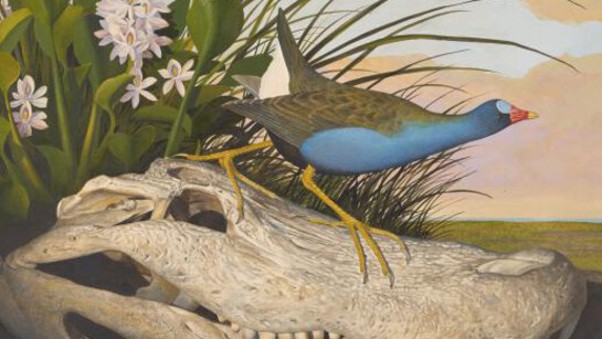 Seeing in Detail. Courtesy of Amon Carter Museum of American Art