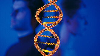 O movimento do DNA em 3D