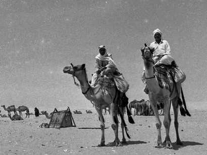 Colección de Dan Hadani: beduinos en Sinaí, 1969, Egipto