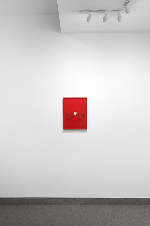 Sarah Charlesworth. Courtesy of Krakow Witkin Gallery