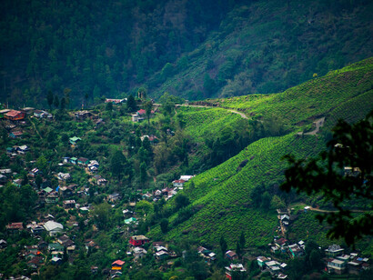 Sonada, Darjeeling, is a peaceful retreat where houses are scattered across the gently rolling hills, surrounded by lush tea gardens and a charming mountain village, epitomizing the beauty of West Bengal's landscape, India