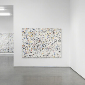 Dashiell Manley. Courtesy of Marianne Boesky Gallery