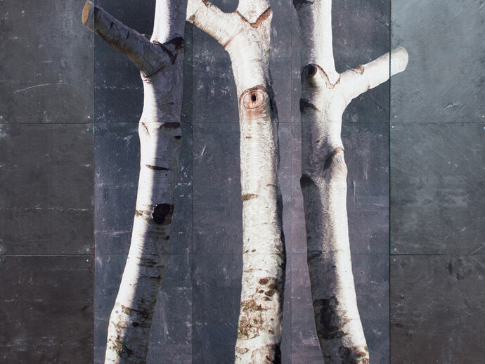 Roderick Coyne, Portrait, natural slate, paint and photographic print, 152 x 158 cm, 2015 