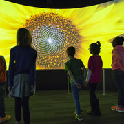 Numbers In Nature: A Mirror Maze. Courtesy of Museum of Science and Industry