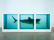 La imposibilidad física de la muerte en la mente de alguien vivo, Damien Hirst, 1991