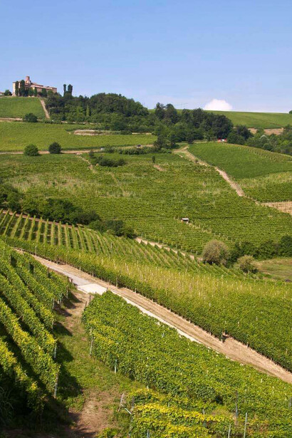 Il paesaggio vitivinicolo delle Langhe-Roero che si estende sui dolci pendii delle colline