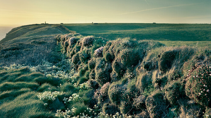 Joakim Eskildsen. Courtesy of Polka Galerie