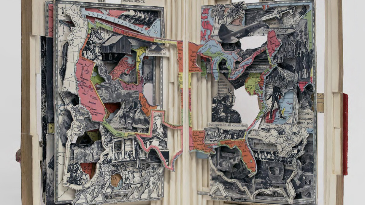 Brian Dettmer, The de of America (detail), 2022. Courtesy of Nancy Toomey Fine Art