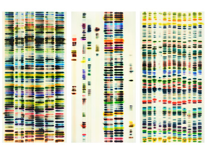 Jaq Chartier, Large Chart (triptych), 2015, Acrylic resin, stains, spray paint on wood panel, 65 x 100 inches