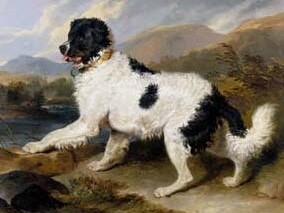 Lion - A Newfoundland Dog, Sir Edwin Landseer, 1824, England. Museum no. 852-1894. © Victoria and Albert Museum, London