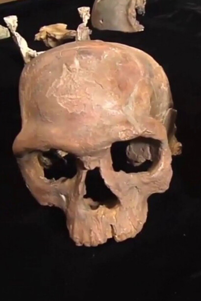 Homo Sapiens skull discovered in Morocco 