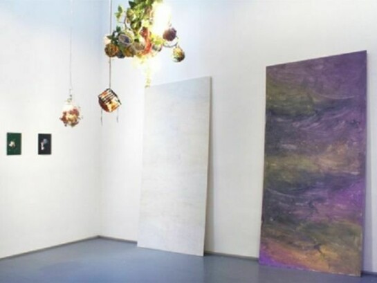 Alex Kwartler and Elke Solomon, Installation at Klaus von Nichtssagend Gallery