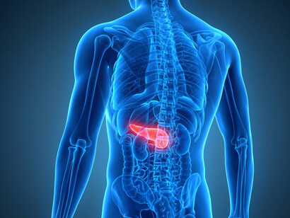 Advanced imaging technologies help researchers and clinicians study pancreatic cancer progression