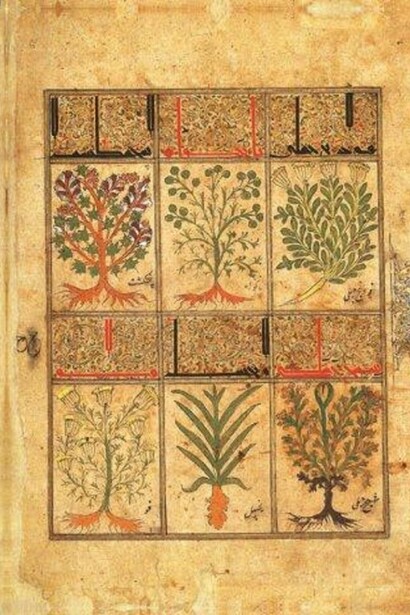 Pagine della versione facsimile del Kitâb al-Diryâq