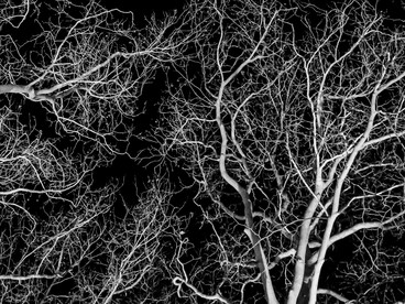 Il corpo non è un oggetto che possediamo, ma il luogo stesso attraverso cui facciamo esperienza del mondo e dell’esistenza