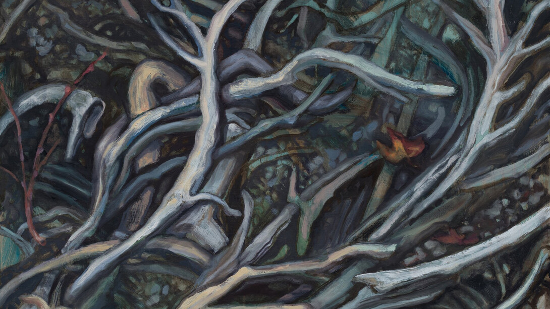 Sharon Feder, BeingTrees - roots 9 (detail), 2025. Courtesy of Billis/Williams Gallery 