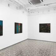 Soumya Sankar Bose, We need to talk in whispers, exhibition view. Courtesy of Experimenter