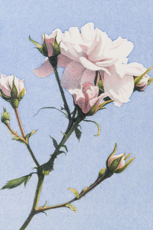 Frederick Brosen. Courtesy of Garvey|Simon 