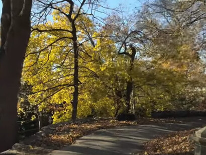 Al tiempo, a Ichabod Crane, se le dio por raptado por el jinete sin cabeza en el pueblo.  Aunque, se supieron historias de que había huido de Sleepy Hollow con su corazón roto por el rechazo y humillación que Katrina en New York, EE. UU.