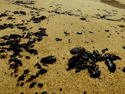 'Piche' em mais de 200 praias do litoral nordestino