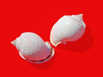 Era un mundo raro que no era